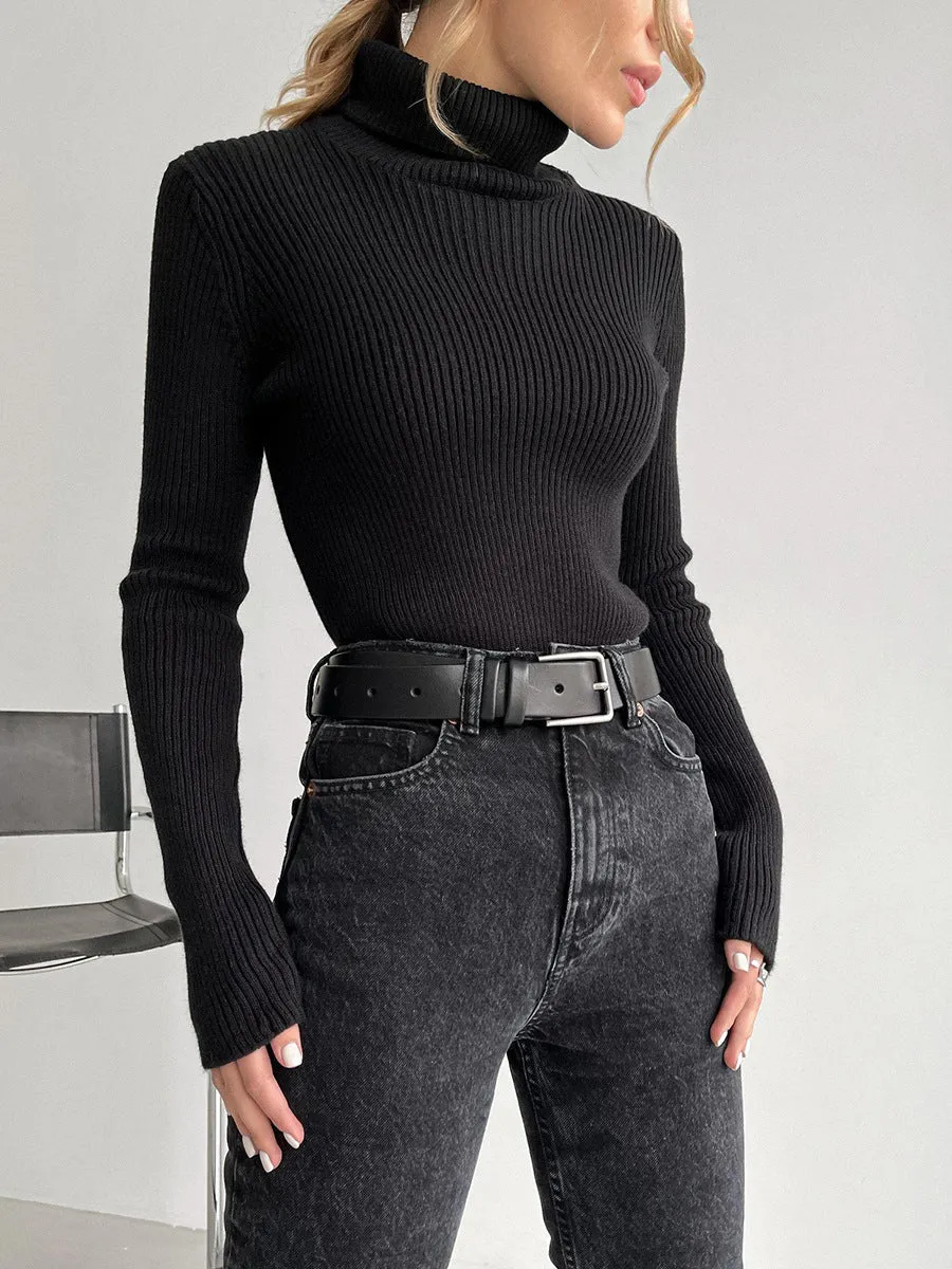 Denise Turtleneck Slim Women Sweater