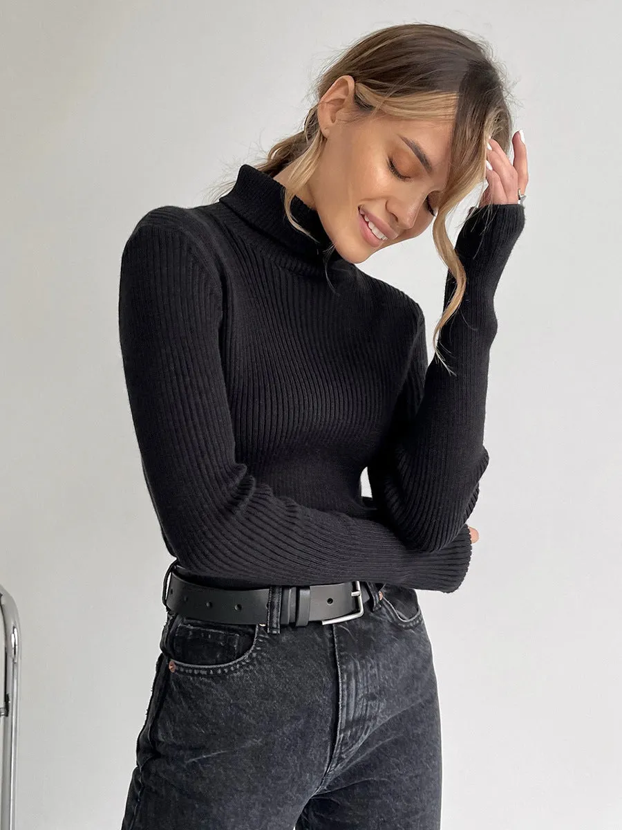 Denise Turtleneck Slim Women Sweater